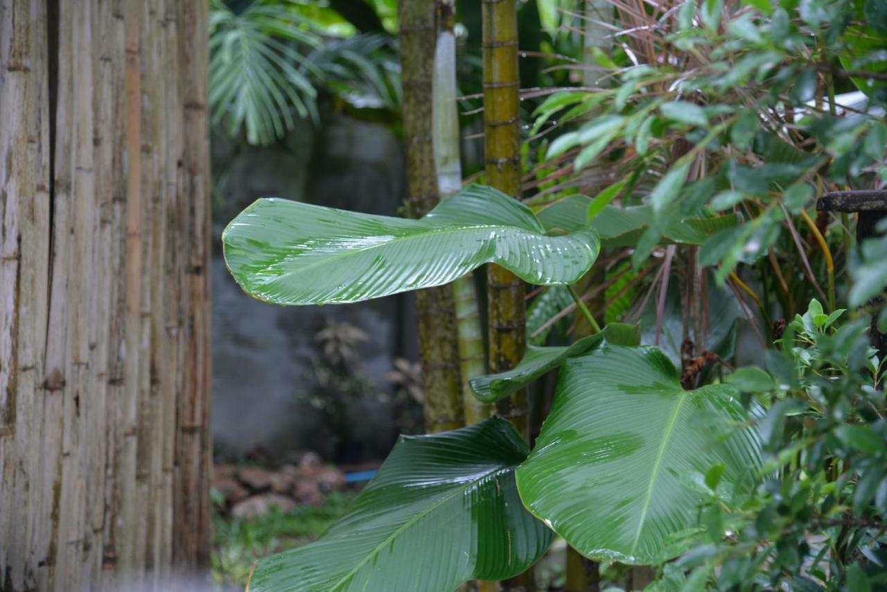 Tukonnee Villas Koh Yao Noi Kültér fotó
